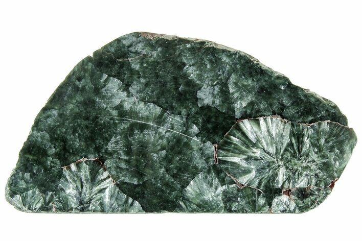 Polished Seraphinite Slab - Korshunovkiy Mine, Siberia #314948